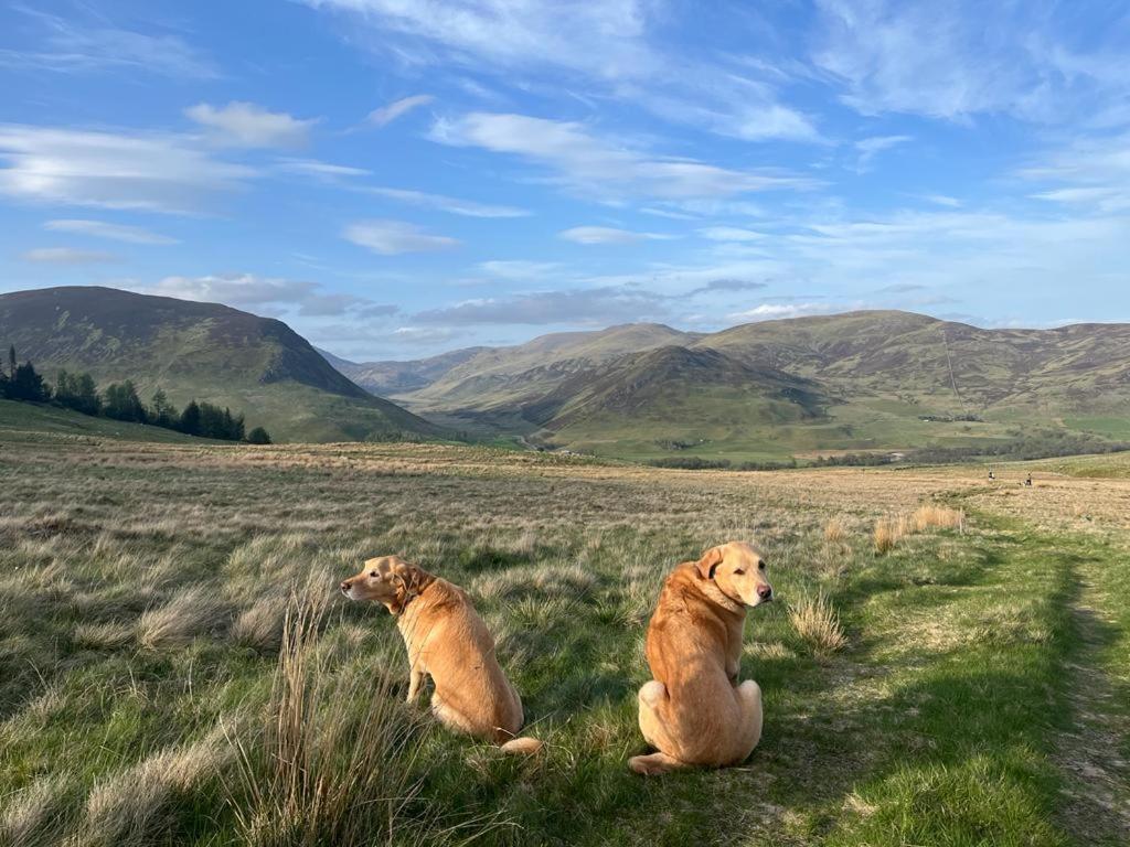 Gulabin Lodge Glenshee Exteriör bild